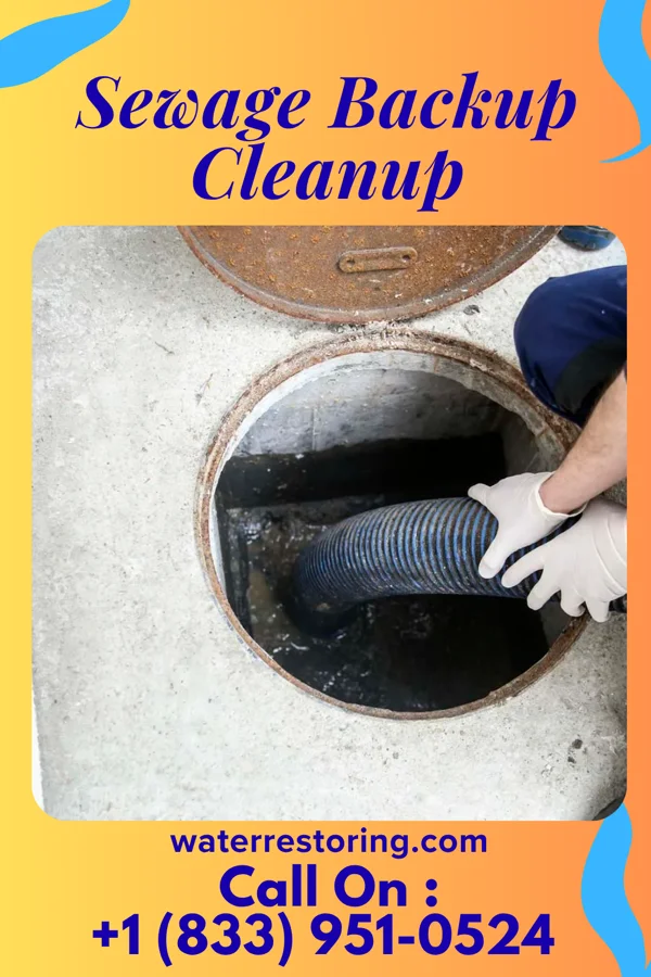 Sewage Backup Cleanup in Fair Oaks, GA